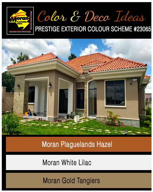 arthur-gracious-moran-plastering-paints-EXTERIOR-065-3CPLOR